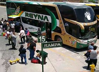 BUSES INTERPROVINCIALES EN PUNO CANCELAN VIAJES