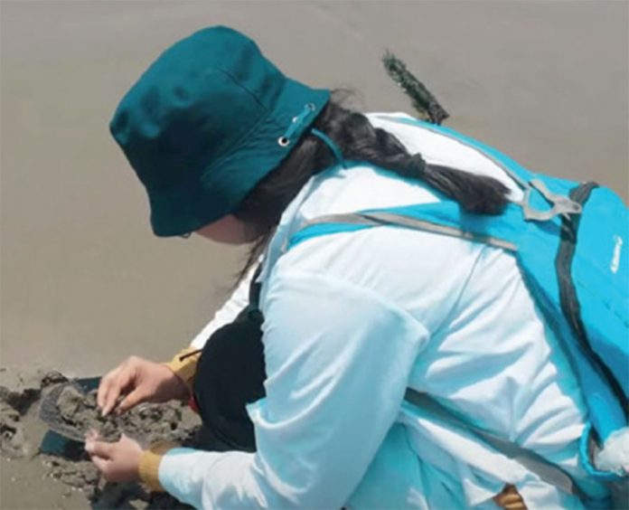 Piden intervención del Minsa ante restos de petróleo en algunas playas