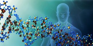 Terapia Biodescodificacion