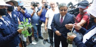 para controlar el dengue