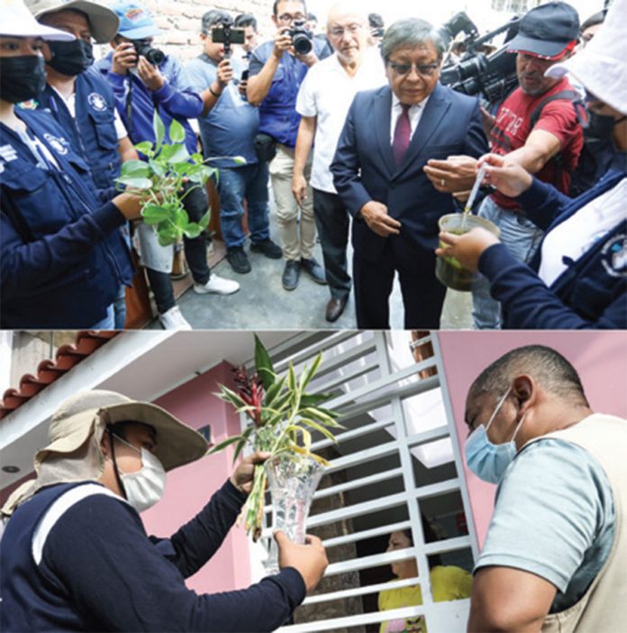 para controlar el dengue