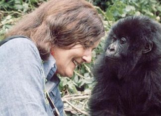 Dian Fossey