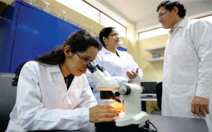 Universitarios