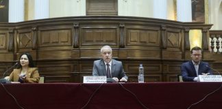 Comisión de Constitución