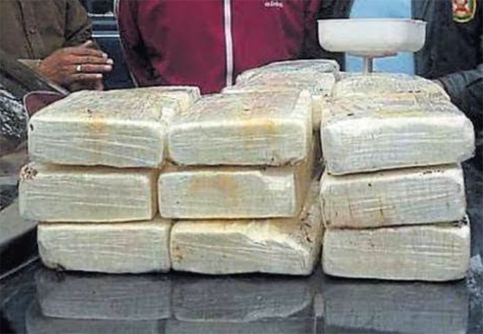 Incautan 200 kilos de cocaína camuflada en cargamento de paltas