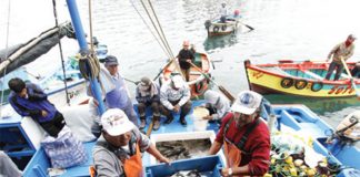 Mira aquí si eres beneficiario de bono S/500 para pescadores Pescadores