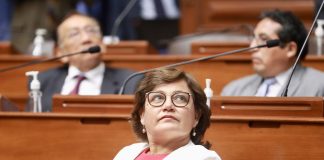 Silvia Monteza