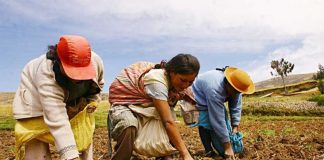seguro agrario catastrófico