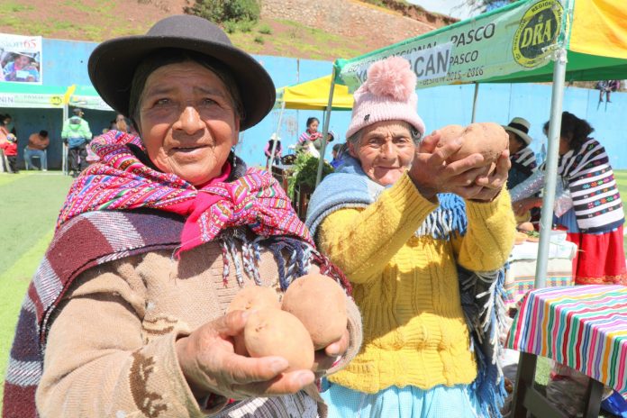 Revaloran costumbre ancestral de los pueblos originarios del Perú