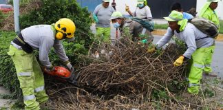 Surco combate plaga de roedores en alrededores del Mercado Jorge Chávez