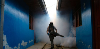 Errores con la COVID-19 se están repitiendo en el trato del dengue dengue