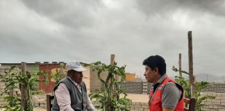 Día Mundial de Toma de Conciencia del Abuso y Maltrato en la Vejez