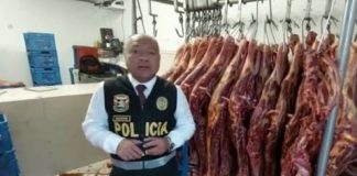 PNP intervino local con carne de caballo que iba a ser vendida como si fuera de res