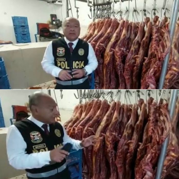 PNP intervino local con carne de caballo que iba a ser vendida como si fuera de res