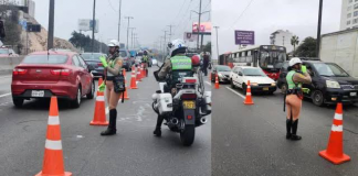 Peatón muere tras intentar cruzar pista de la Panamericana Sur