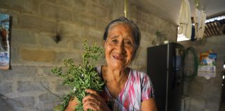 Con 84 años emprendedora tiene gran éxito con sus hierbas ancestrales Con 84 años emprendedora tiene gran éxito con sus hierbas ancestrales