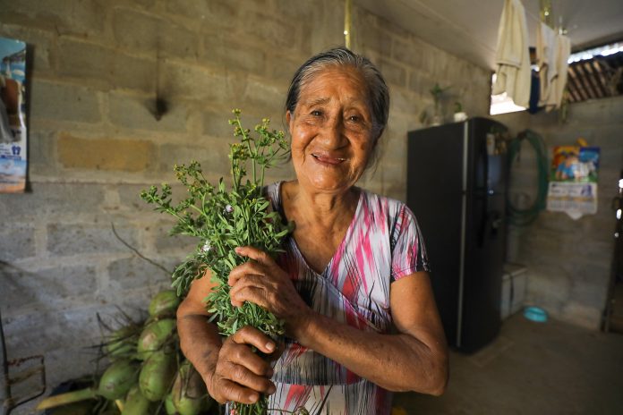 Con 84 años emprendedora tiene gran éxito con sus hierbas ancestrales