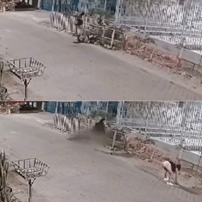 Mujer mata a su expareja que quemó su casa y la atacó