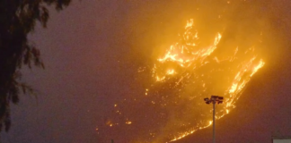 Ola de calor e incendios en el Mediterráneo deja al menos 35 muertos