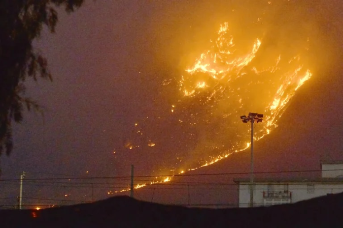 Ola de calor e incendios en el Mediterráneo deja al menos 35 muertos