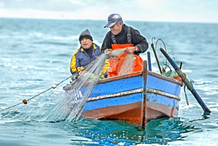 pescadores artesanales
