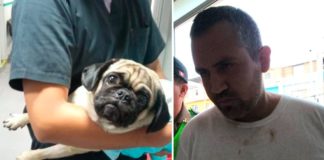 Alonso Santa Cruz Túpac