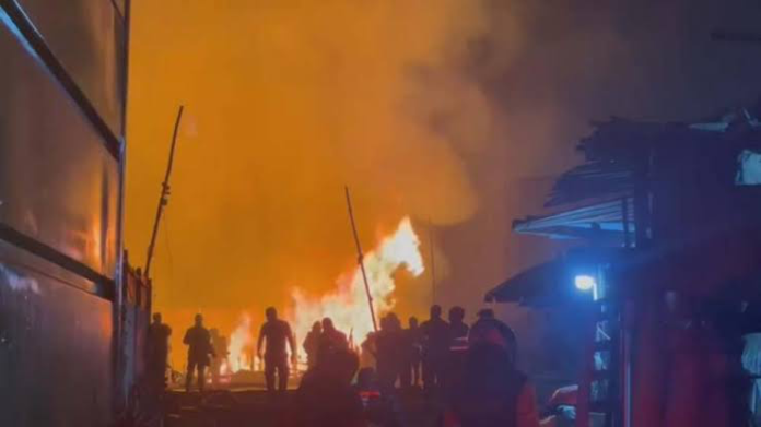 Clausuran criadero de cerdos clandestino en Chorrillos tras voraz incendio