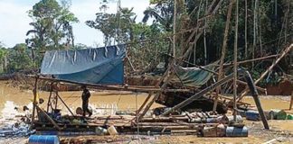 Congreso votaría proyectos de ley que beneficia a la minería ilegal Minería ilegal