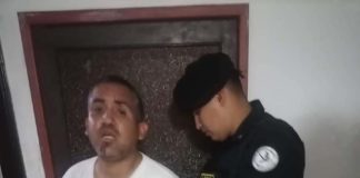 Perrita acuchillada no podrá ser mamá tras sufrir afectación en glándula mamaria