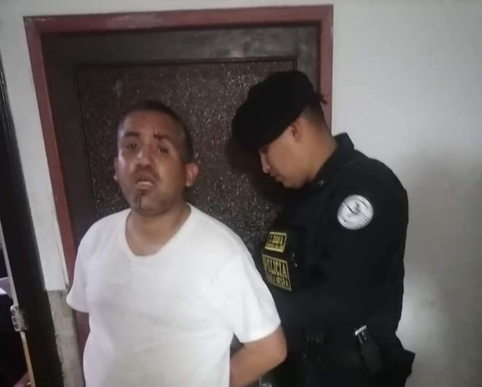 Perrita acuchillada no podrá ser mamá tras sufrir afectación en glándula mamaria