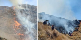 incendio forestal registrado en el distrito de Ihuayllo