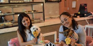 Como hacer un negocio Pet Friendly-Mascotas negocio Pet Friendly