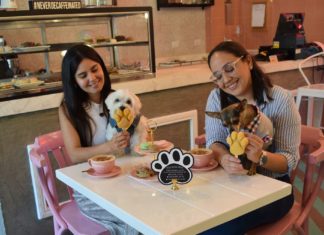 negocio Pet Friendly