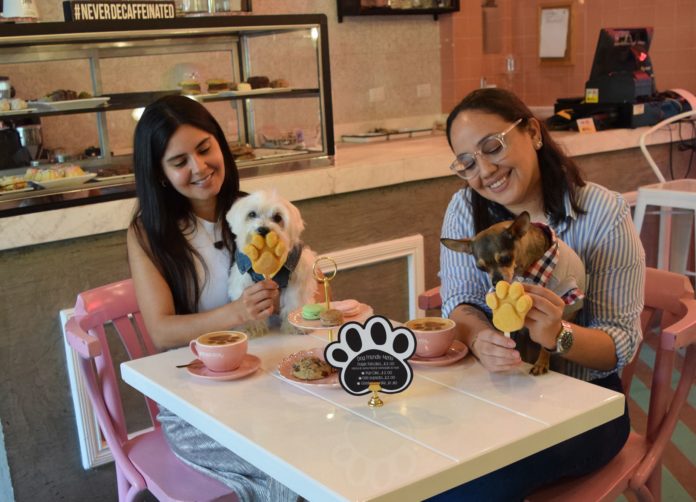 negocio Pet Friendly