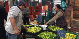 Crece abastecimiento de limón en mercados mayoristas