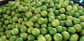 Precios del limón: MEF pide no caer en especulación