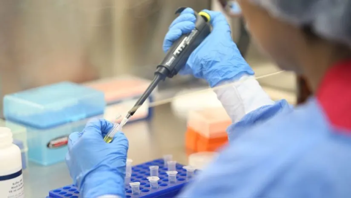 INS identifica en el Perú cuatro casos de nuevo linaje Fornax de la COVID-19