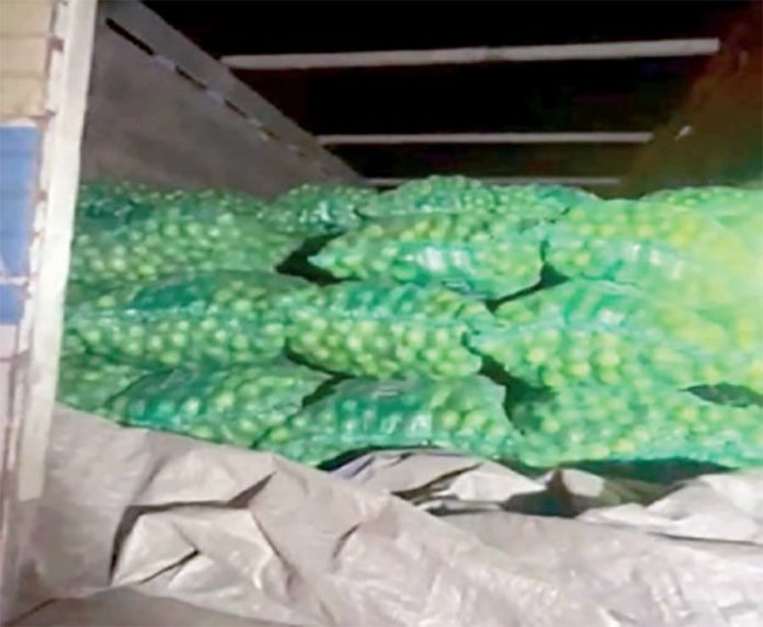 Incautan 280 mallas de limón colombiano por un valor de S/ 159 mil Tumbes