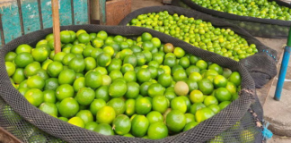 limón