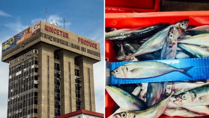 Produce: Se declara en veda jurel a nivel nacional