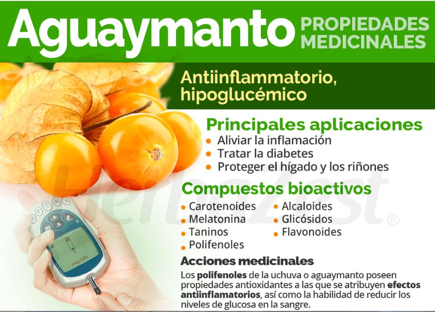Consumo aguaymanto