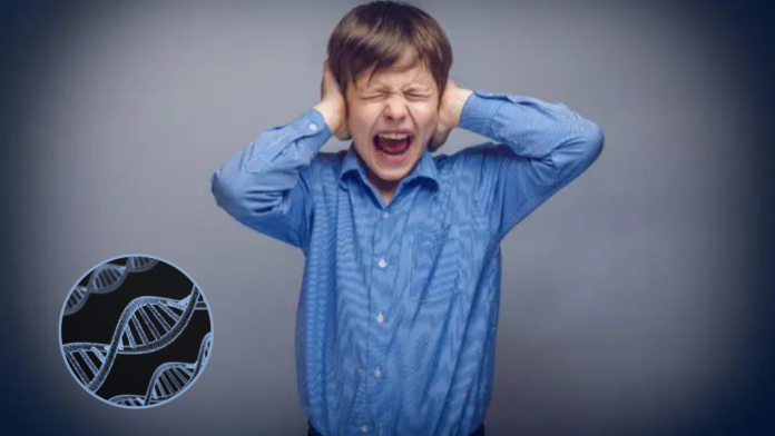 Genes y Autismo: Descubrimiento Crucial