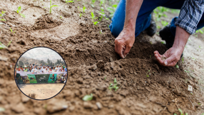 Perú: 100,000 Árboles plantados en un día