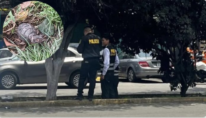 PNP detonó granada abandonada en Surquillo