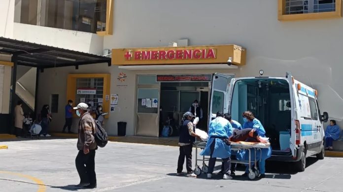 Arequipa: Confirman primer caso de rabia humana