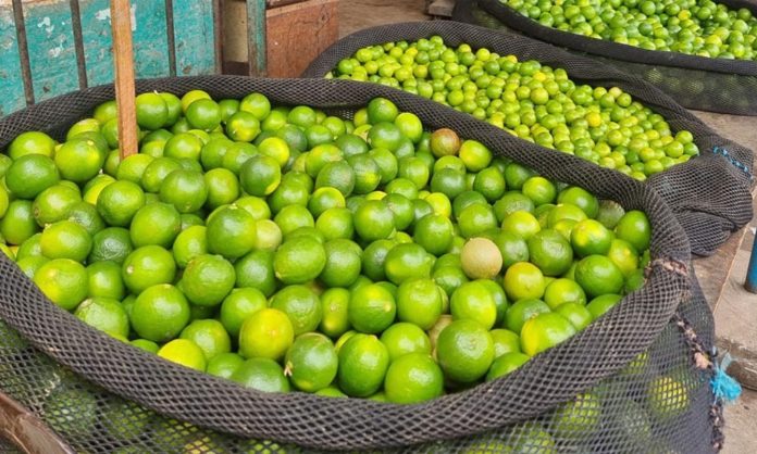 Precio del limón baja y llega a los 4 soles el kilo en mercado mayorista