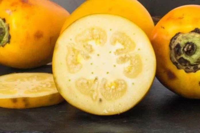 Cocona: Aliada contra enfermedades del corazón