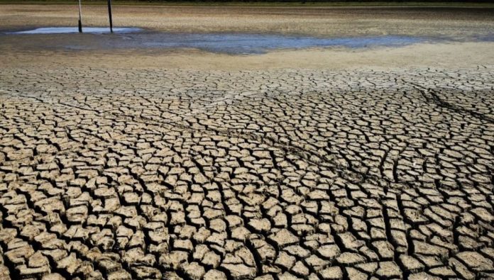 Sequía por Fenómeno El Niño amenaza la producción agrícola