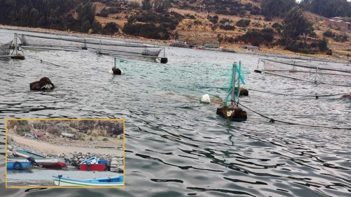 Fuertes vientos y oleajes generan pérdida de 8 toneladas de trucha