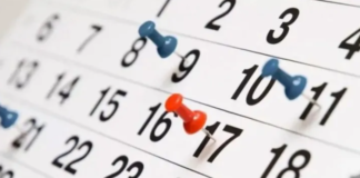 ¿Feriados en noviembre? Entérate de las fechas libres del mes